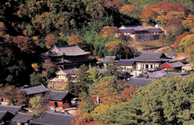 제8경 : 천년고찰 화엄사