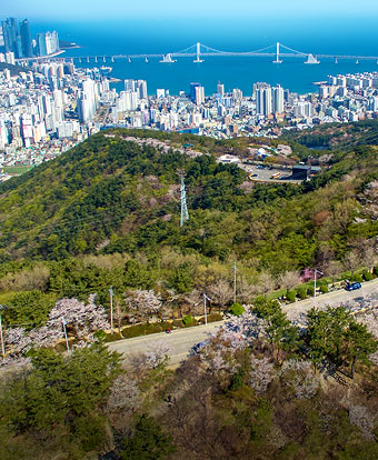 금련산 전경 사진