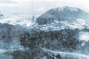 1980년대 민락동 구.태창목재