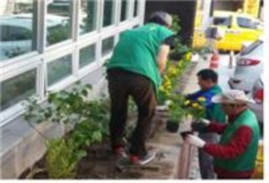민락동 새마을지도자협의회 여름초화식재 활동 실시