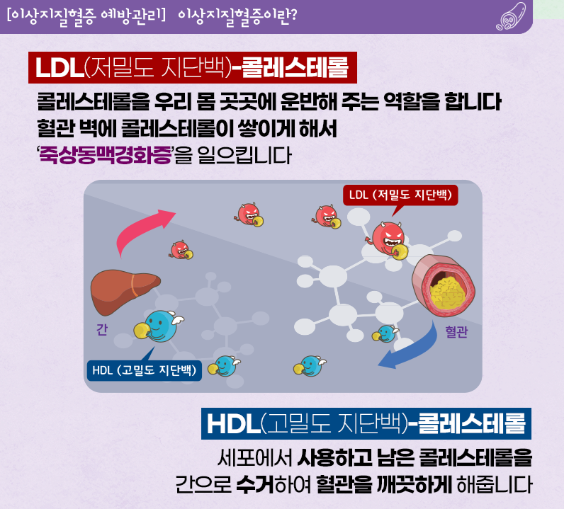 이상지질혈증이란? 3