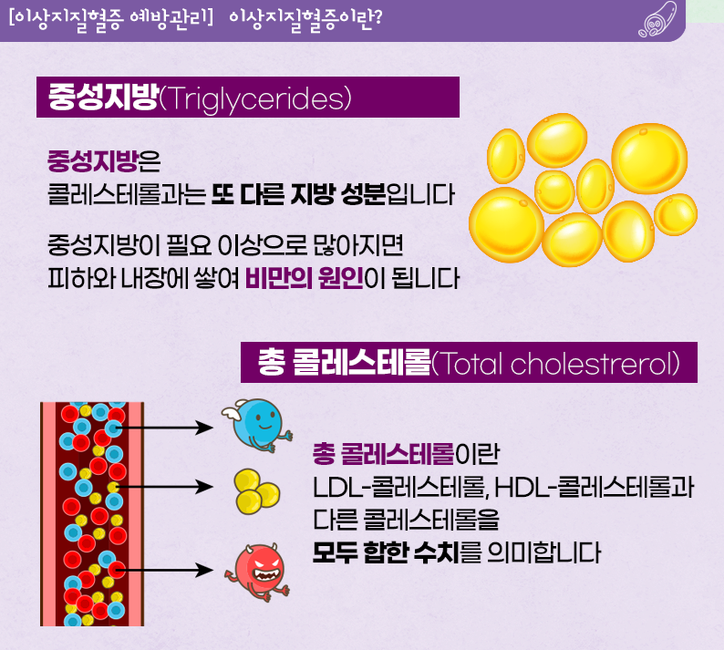 이상지질혈증이란? 4