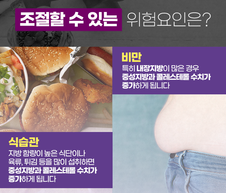 이상지질혈증의 위험요인 2