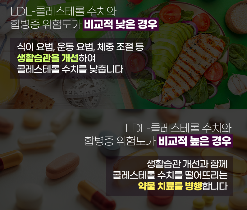 이상지질혈증의 치료 2
