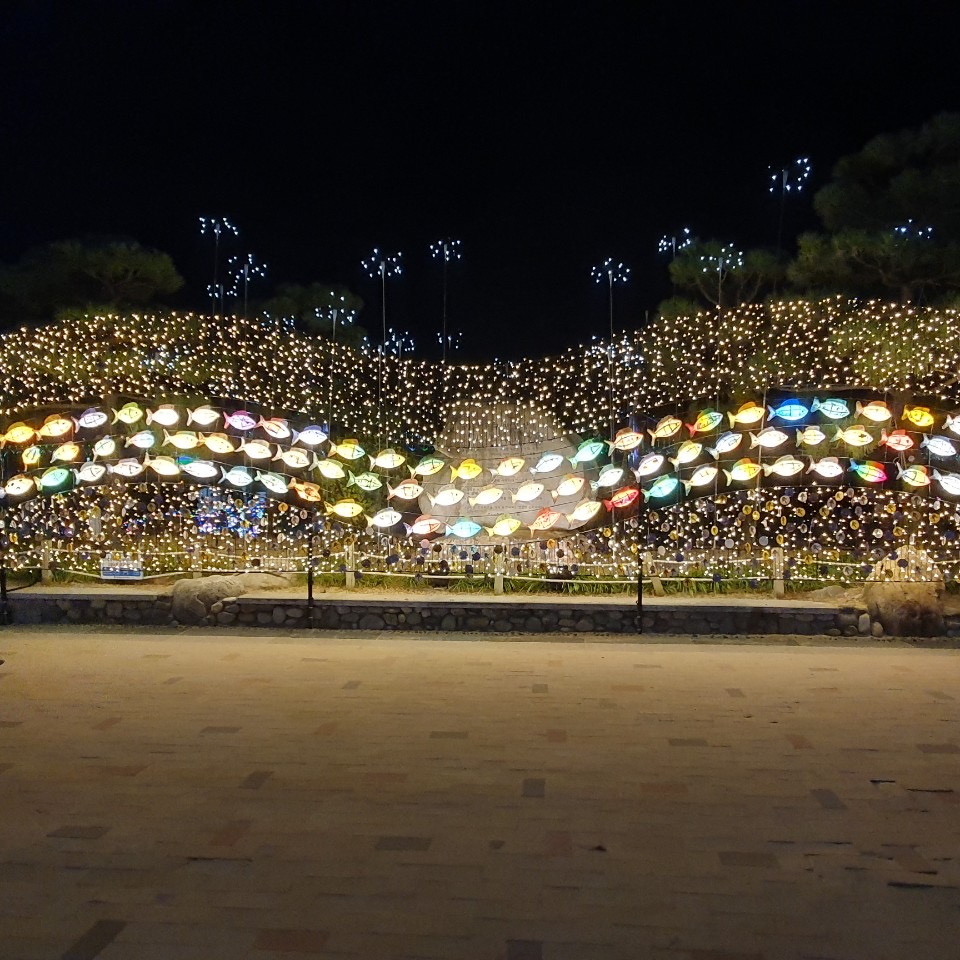 2020년 축제포토존(물고기 소망등) 1