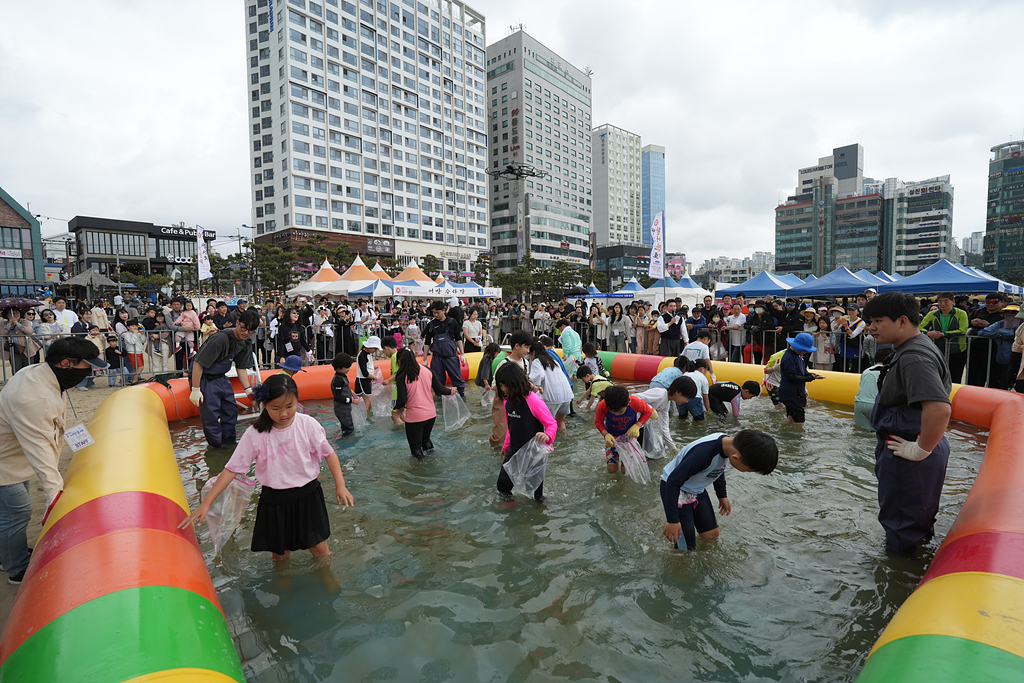 광안리어방축제 맨손 활어잡기 체험 광안리어방축제 맨손 활어잡기 체험