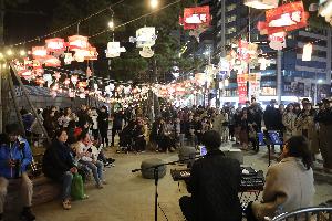 2019년 축제야경