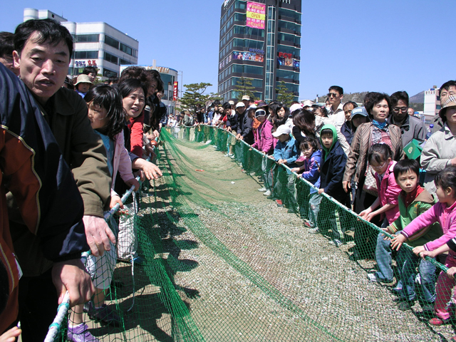 2008 광안리어방축제 현장사진