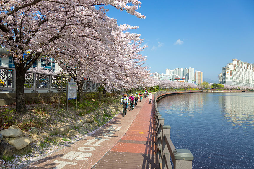 수영강변과 산책로