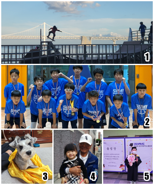 새수영 이벤트 당첨자 발표/ 2025년 가장 기억에 남는 순간은? 첨부파일 이미지