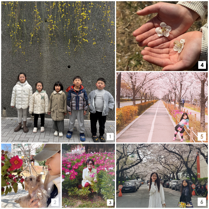 우리동네 챌린지② 봄꽃 인증샷 봄꽃으로 물든 우리 동네 풍경 첨부파일 이미지