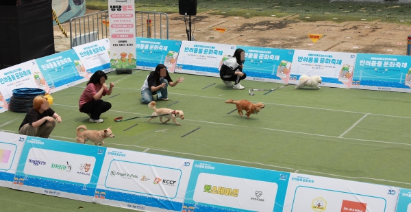 반려동물과 함께해서 더 즐겁다 첨부파일 이미지