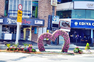 코로나로 지친 마음 `꽃으로 달래요