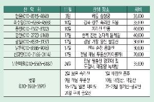 11월 산행 떠납니다