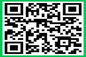 퀴즈퀴즈 대잔치