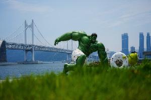 사진 속에 담긴 아름다운 수영구