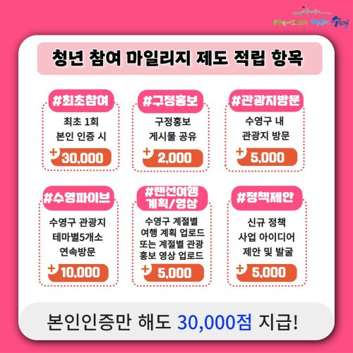 청년 참여 마일리지 제도 적립항목
