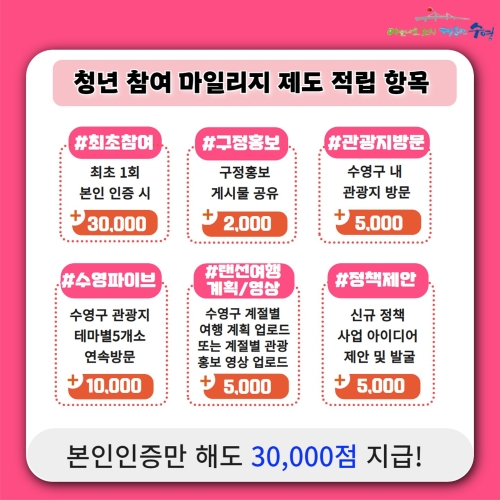 청년 참여 마일리지 제도 적립항목