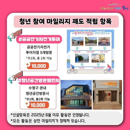 청년 참여 마일리지 제도 적립항목