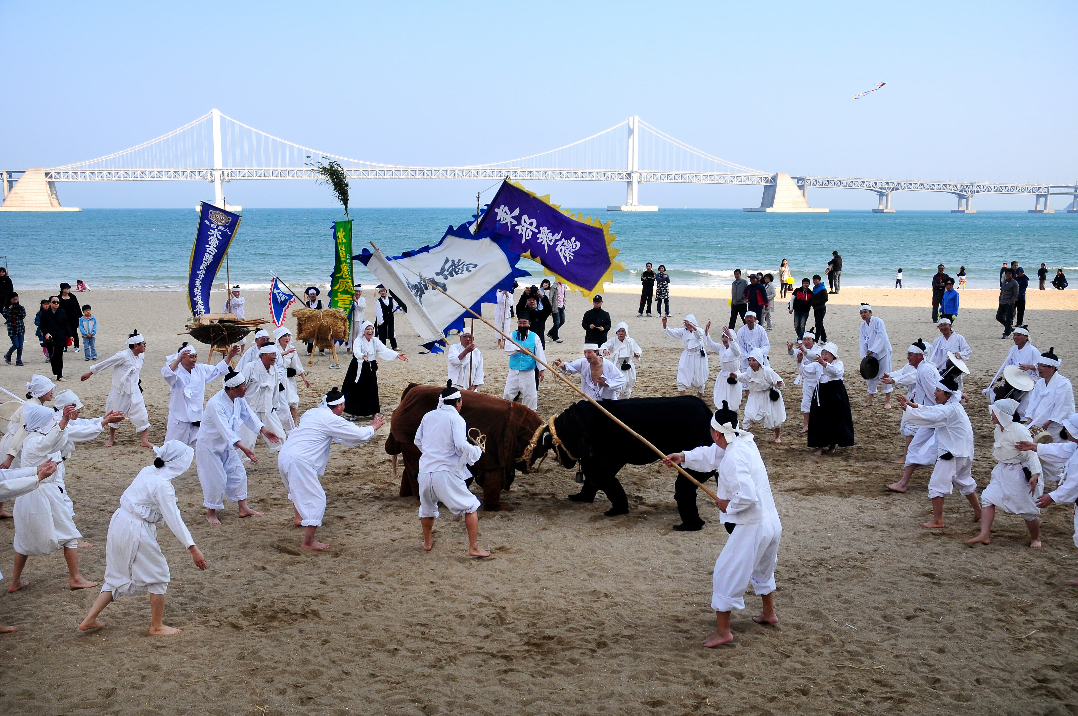 Suyeong Nongcheong Nori (Busan Metropolitan City-Designated Intangible Cultural Asset No. 2)