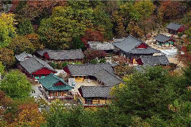 쌍계사