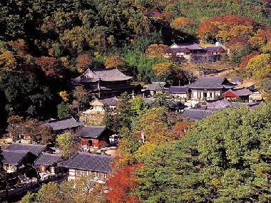 제8경 : 천년고찰 화엄사