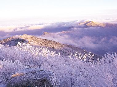 제10경 : 노고단설경